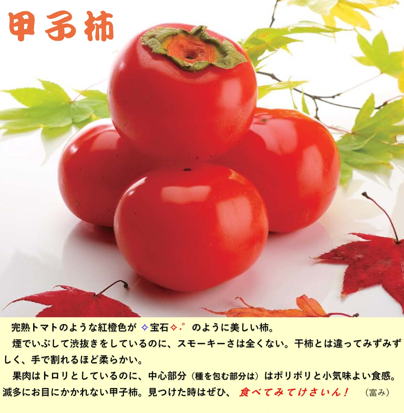 甲子柿