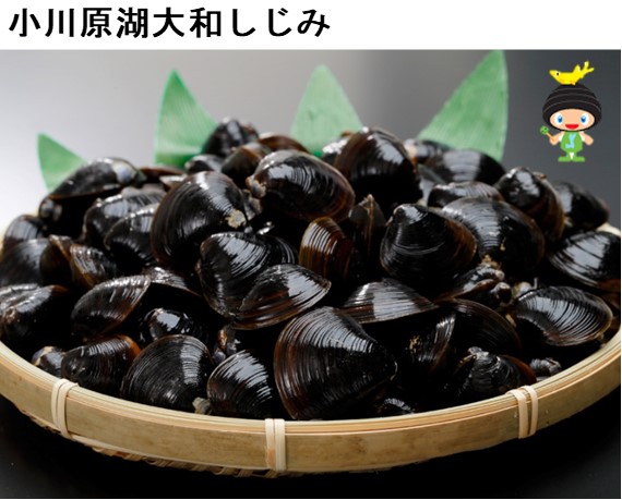 小川原湖産大和しじみ