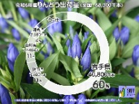 令和6年産りんどうの出荷量