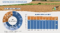 令和7年耕地面積（7月15日現在）