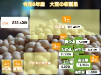 令和6年産大豆の収穫量