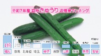 令和7年産 夏秋きゅうり収穫量ランキング