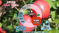 令和7年産 りんご収穫量