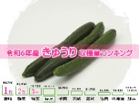 令和6年産きゅうり収穫量ランキング