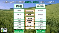 令和7年産小麦の生産費（組織法人経営体、全国、10a当たり）