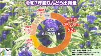 	令和7年産花きの作付（収穫）面積及び出荷量