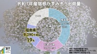 令和7年産宿根かすみそうの出荷量