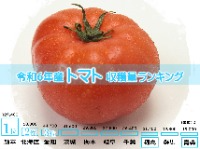 令和6年産トマト収穫量ランキング