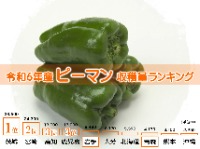 令和6年産ピーマン収穫量ランキング