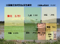 令和7年集落営農実態調査結果