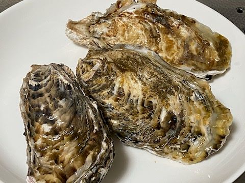 殻付き牡蠣