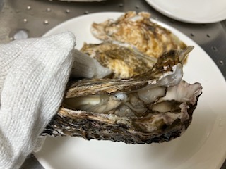 殻向き2