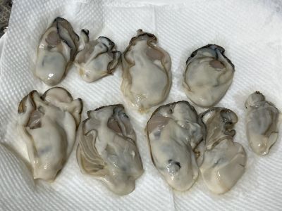 拭き取り