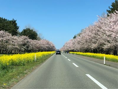 大潟村