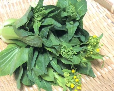 菜花
