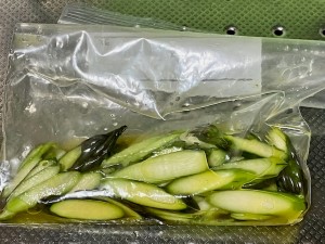 漬け込み