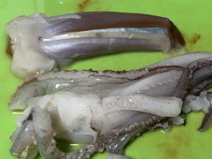 イカ下処理2