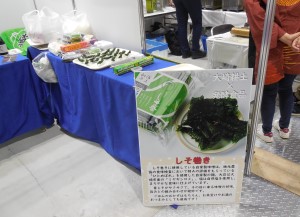 大崎市2