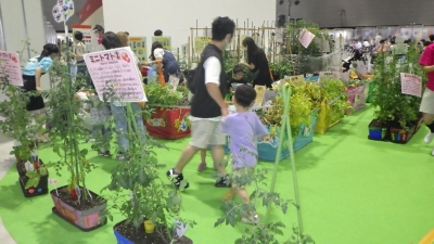 野菜のもぎ取り体験会の様子