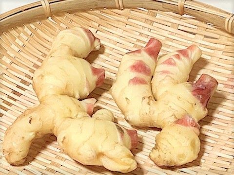 新生姜