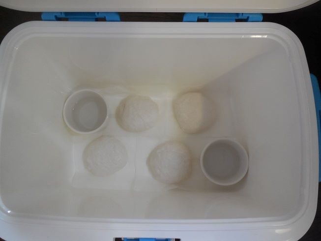 生地の発酵準備