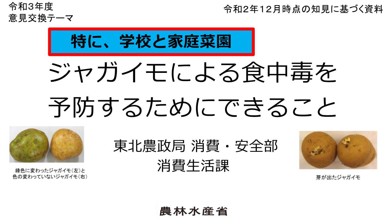 配布資料