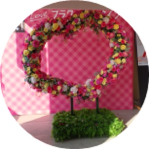 展示6