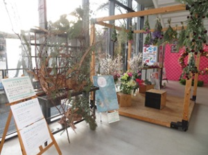展示5