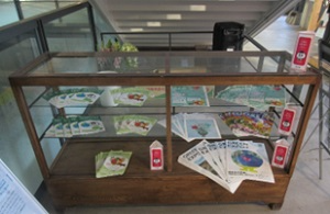 展示4
