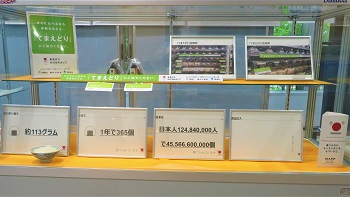 ショーケース2-1