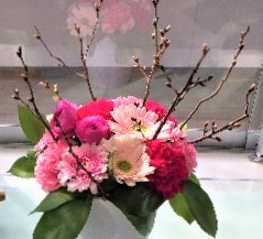 カーネーション他