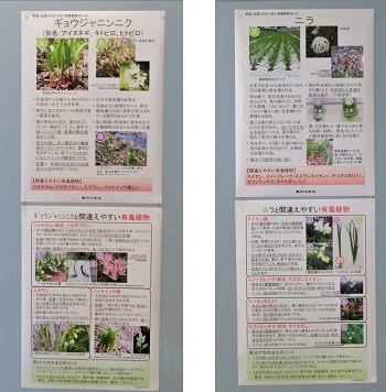 ⑦-2ニラ、行者にんにくパネル.jpg