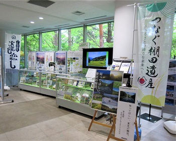全景