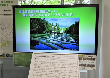 サイネージ