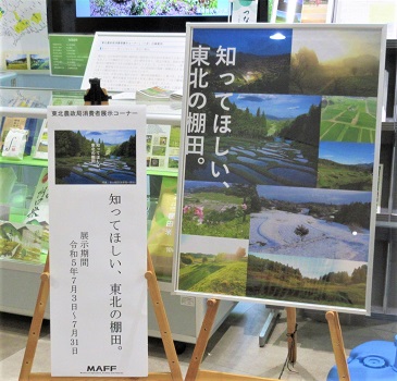 看板