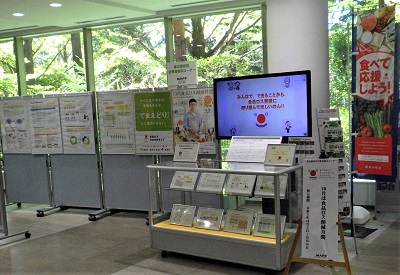 展示コーナー全景