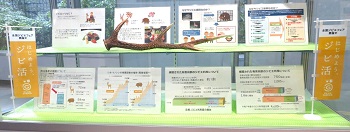 知って楽しむジビエ資料