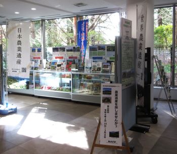 全景