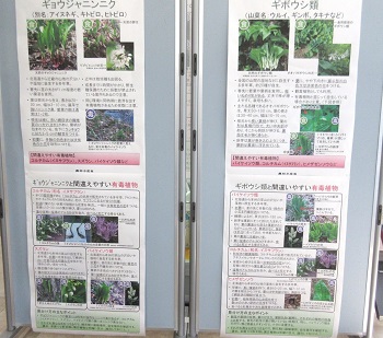 有毒植物ポスター1
