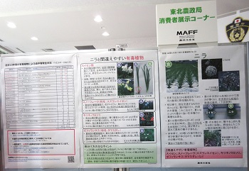 有毒植物ポスター2
