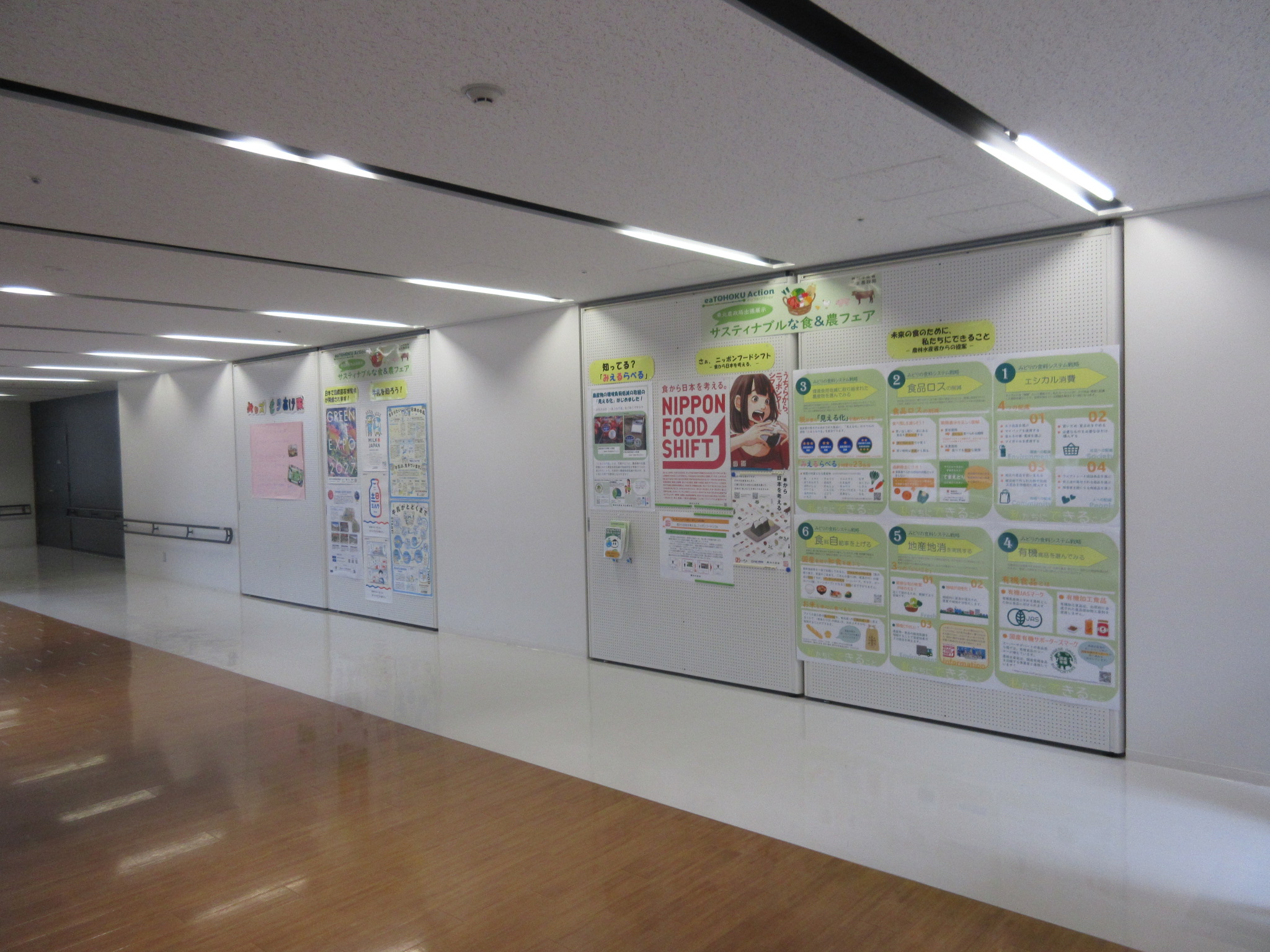 展示コーナー全景