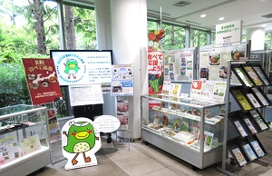 展示コーナー全景