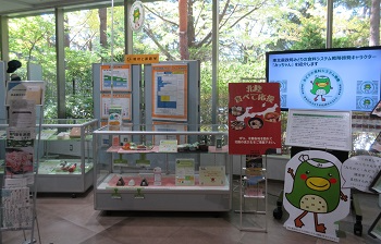 展示コーナー全景