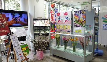 展示全景