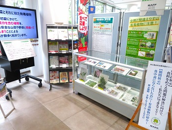 期間展示全景