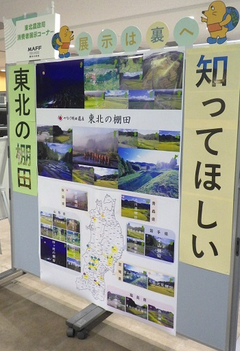 パネル展示
