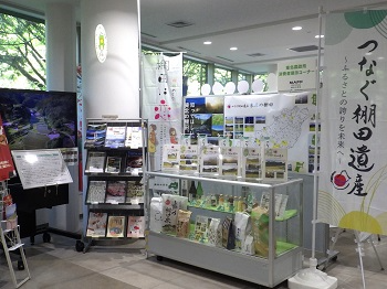 期間展示全景
