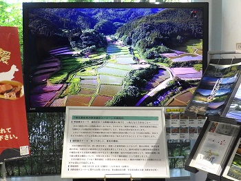 サイネージ