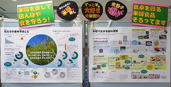 パネル前面