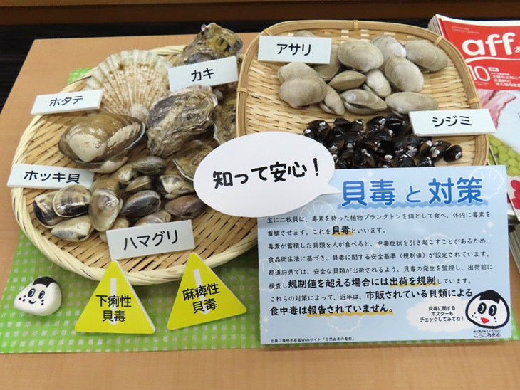 貝毒と対策について紹介した立体展示